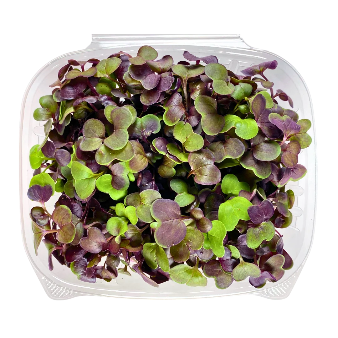 Minis Radish Mix