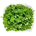 Minis Pea Shoots