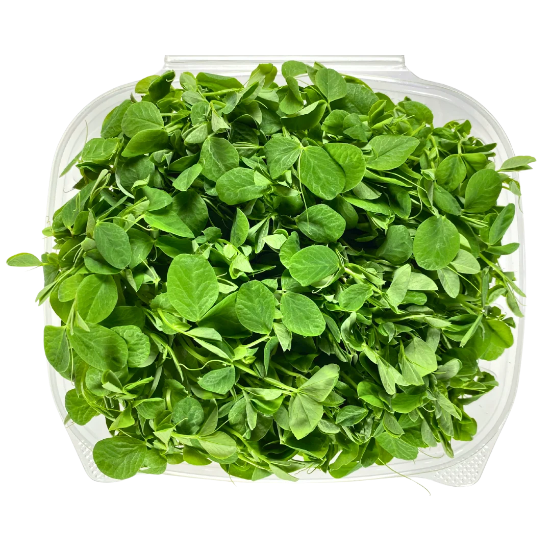 Minis Pea Shoots