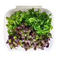 Minis Salad Mix