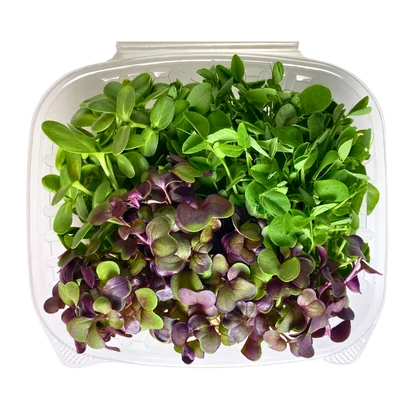 Minis Salad Mix
