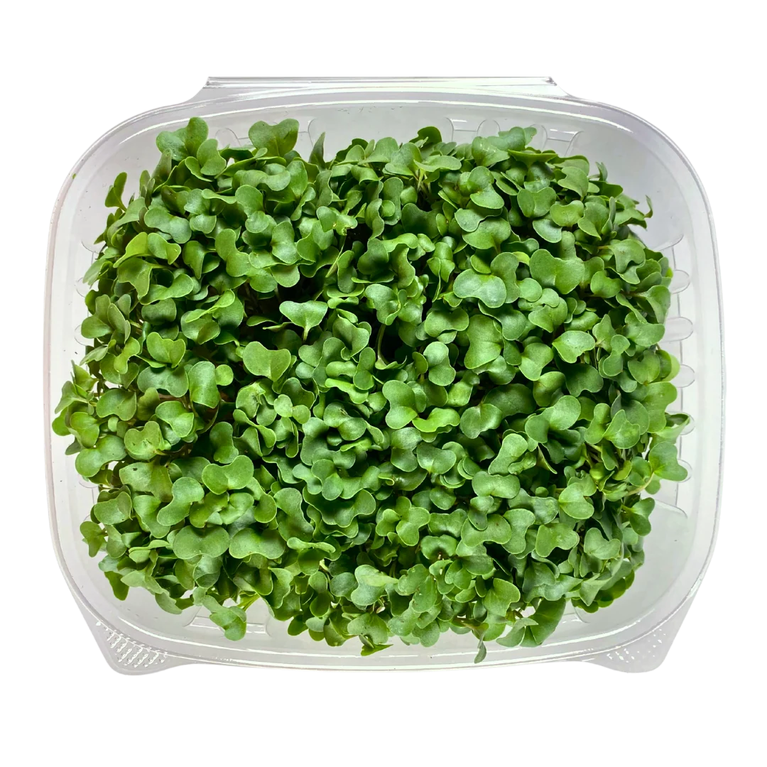 Minis Broccoli